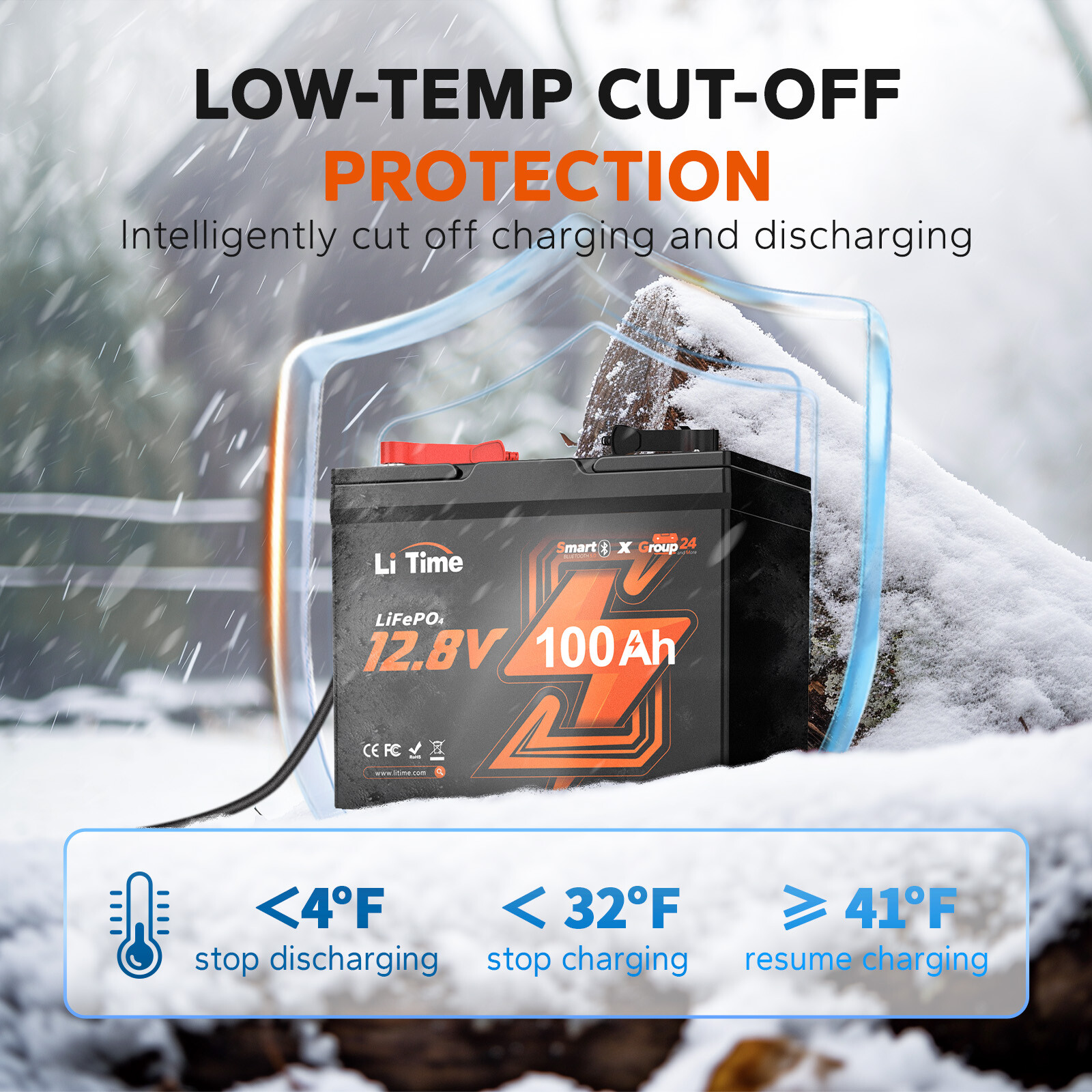 Litime 12V 100Ah Smart Bluetooth Group 24 LiFePO4 Lithium Battery For Solar RV