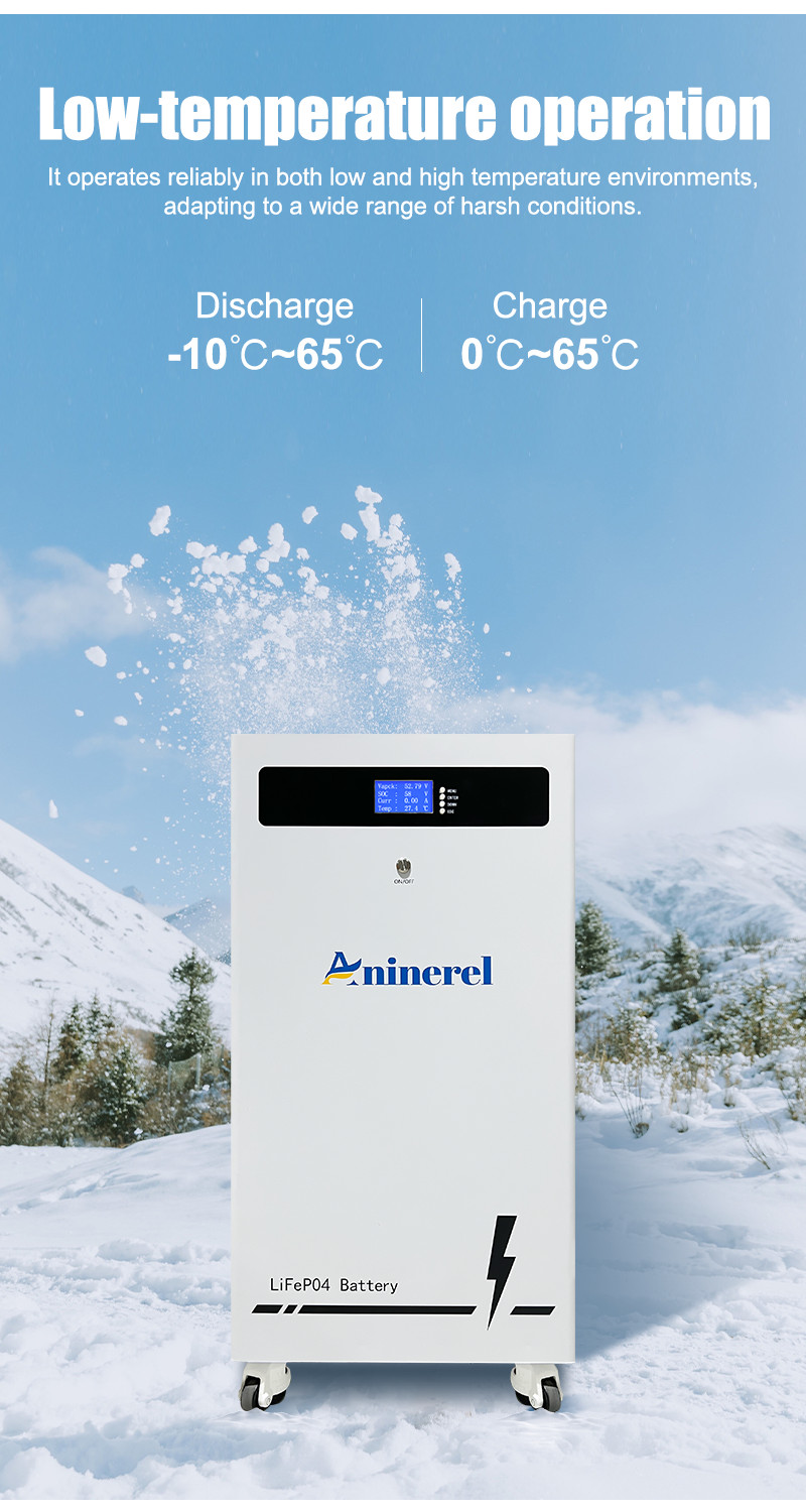 ANINEREL 16KWH 48V 314AH LIFEPO4 BATTERY VERTICAL STANDING SOLAR BACKUP US STOCK