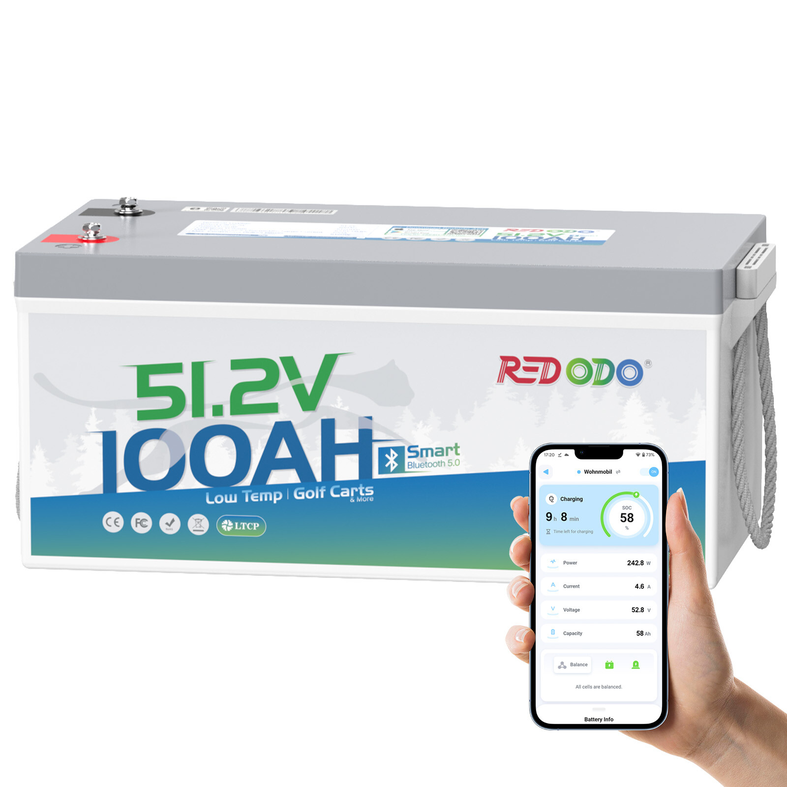 Redodo 48V 100Ah Golf Cart LiFePO4 Battery Bluetooth Low Temp with 200A BMS GOOD