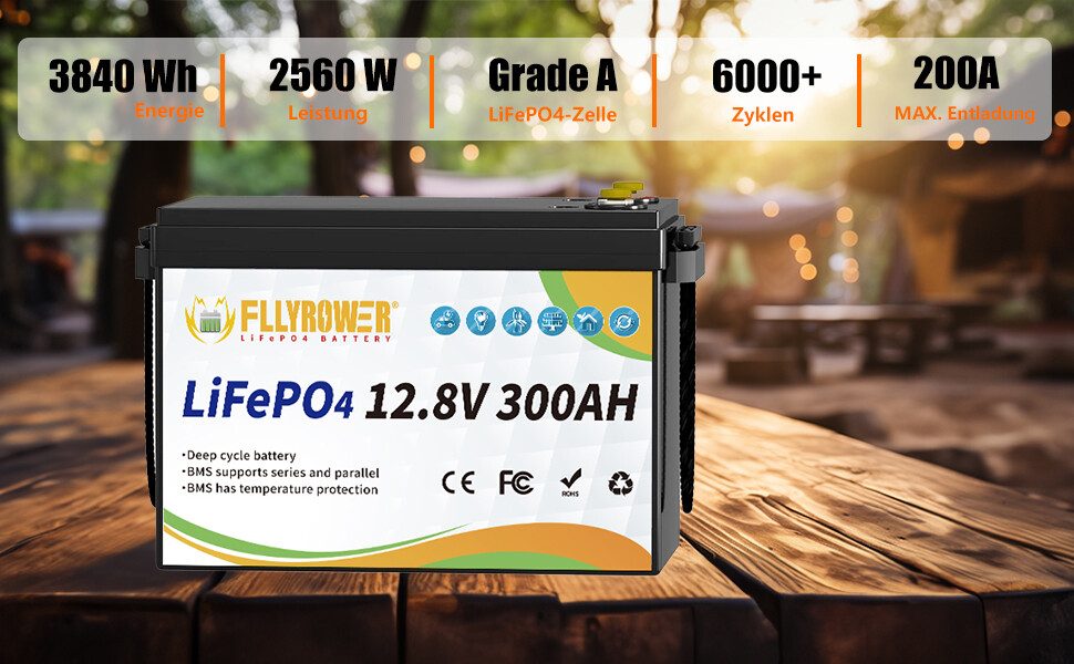 FLLYROWER 3840Wh 12V 300Ah LiFePO4 Lithium Battery 8000+ Deep Cycle For RV Home