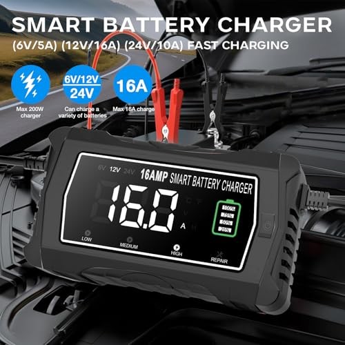lifepo4 16-Amp Fully-Automatic Charger – 6V/12V/24V Lead