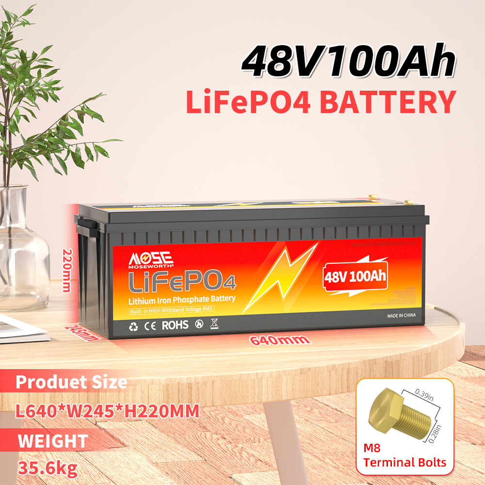 LiFePO4 48V 100Ah Lithium Battery 200A BMS For RV Solar Off-grid Trolling Motor