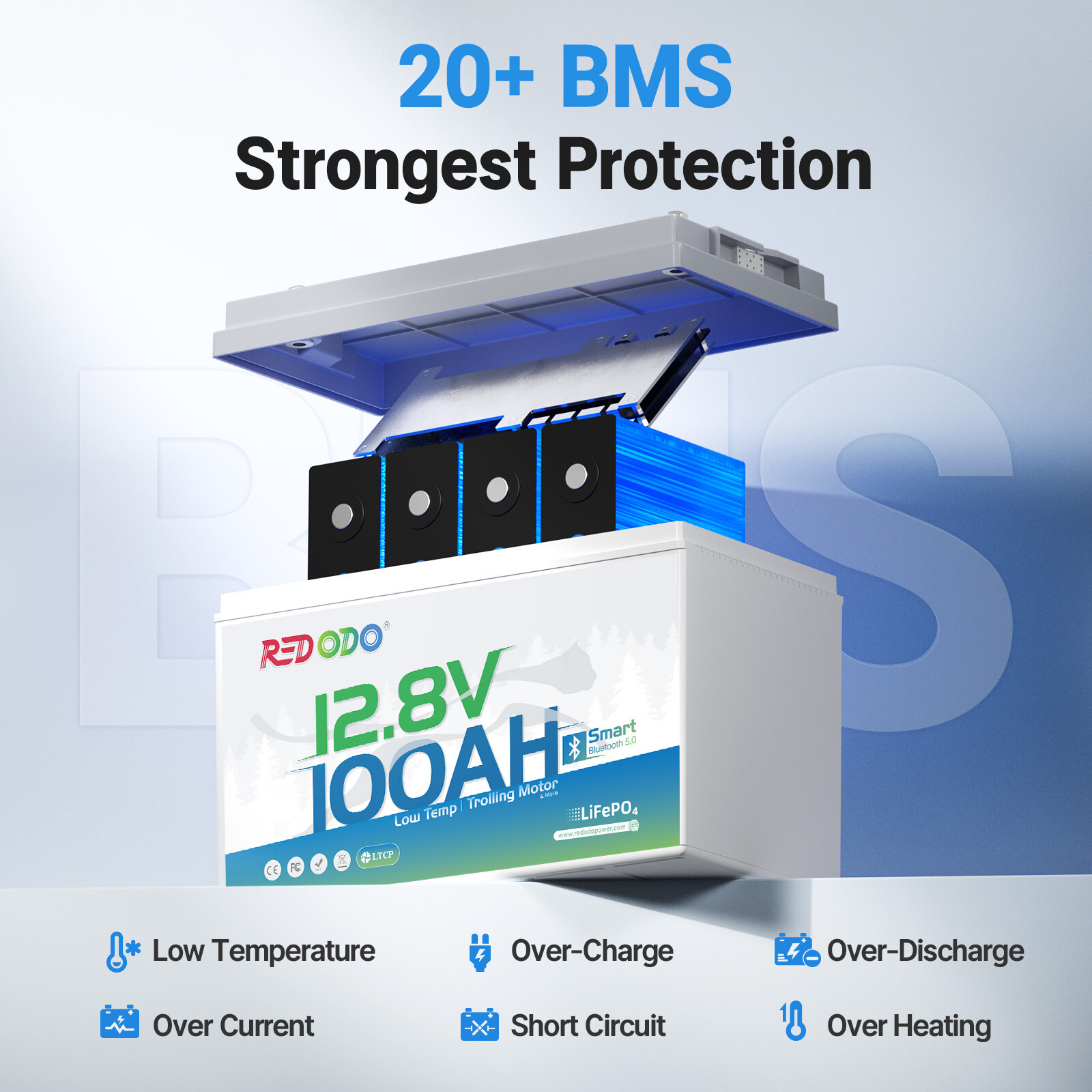 Redodo 12V 100Ah Bluetooth LiFePO4 Lithiium Battery with BMS, Low Temp Cut-off