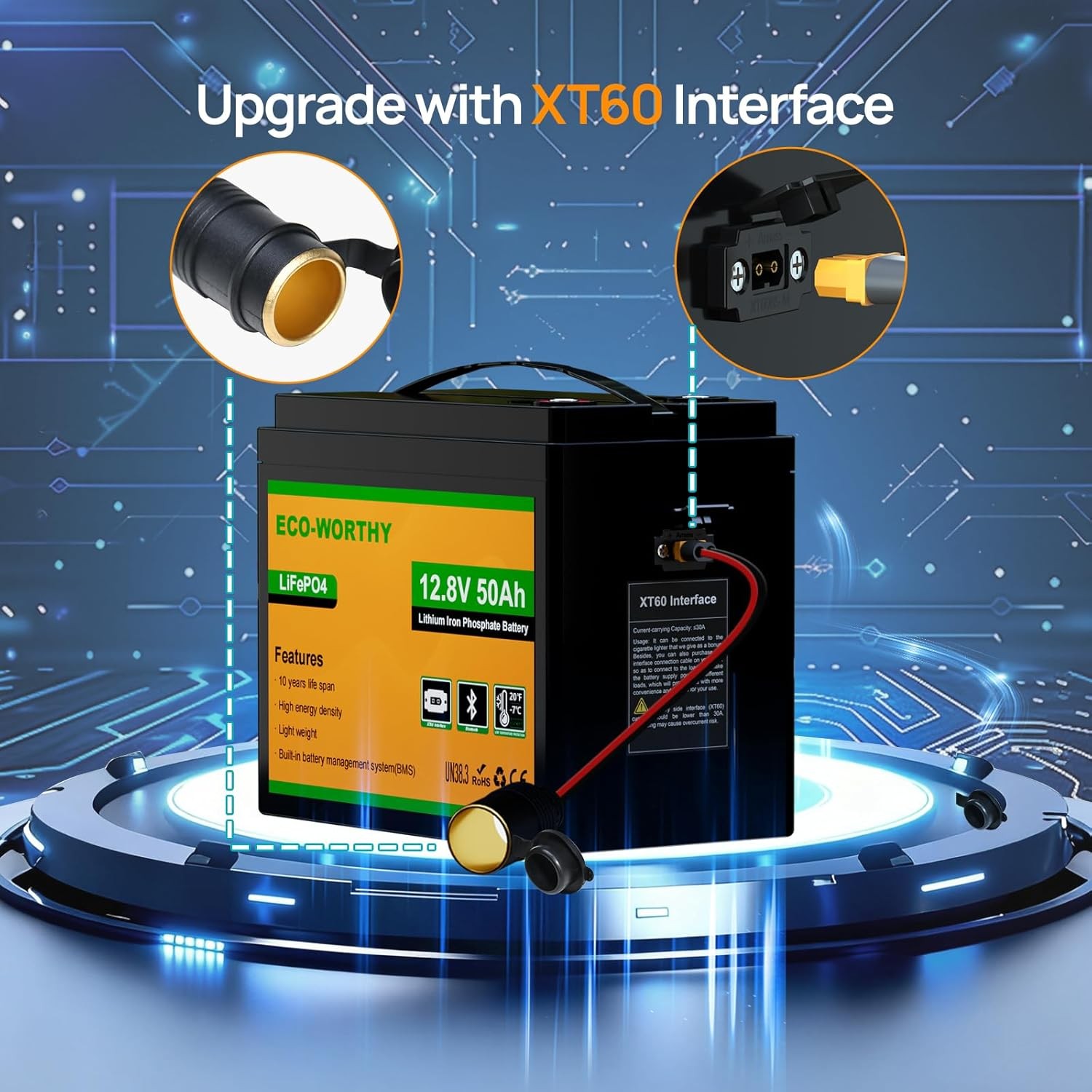 ECO-WORTHY 12V 50Ah LiFePO4 Lithium Battery with XT60 Interface