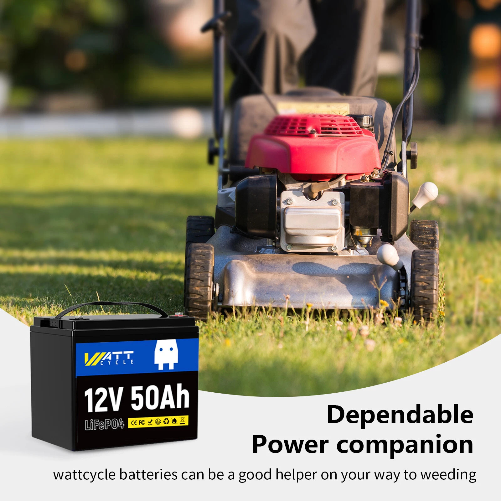 Wattcycle 12V 50Ah 50A BMS 640Wh LiFePO4 Lithium Battery Deep Cycle for Solar