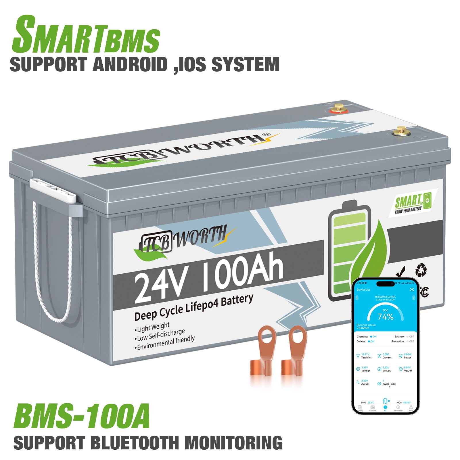 24V 100Ah LiFePO4 Lithium Battery Smart for RV Camping Marine Solar System