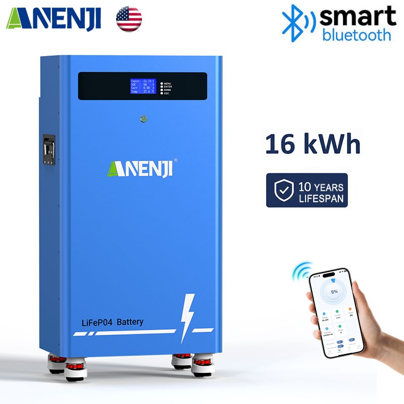 16kwh 51.2V 314Ah LiFePO4 Li-ion Battery Storage 200A BMS for Solar RV 48V US