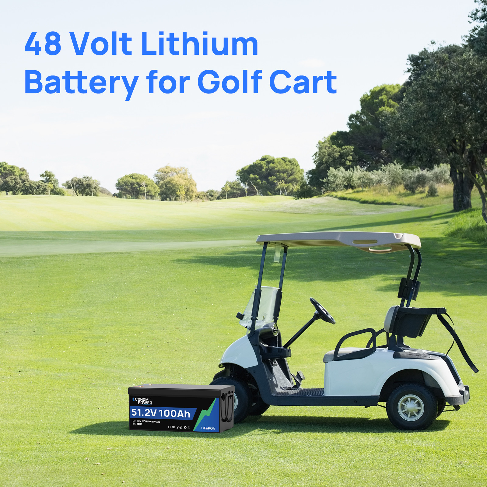 51.2V/48V 100Ah LiFePO4 Battery US Warehouse BMS for Golf Cart RV Solar Off-Grid