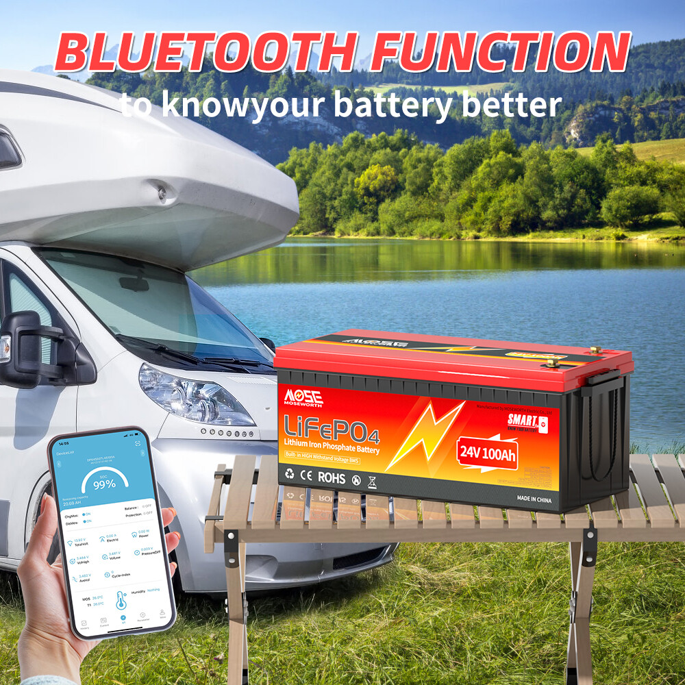 24V 100Ah LiFePO4 Deep Cycle Lithium Battery 2560Wh 100A BMS for Solar RV Boat