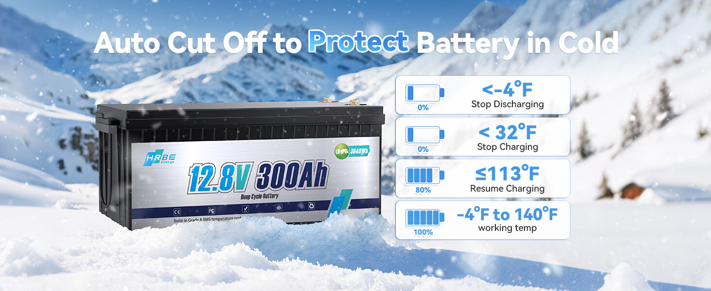 5pcs 12V 300Ah Deep Cycle Lithium Battery LiFePO4 200A BMS for RV Solar Boat