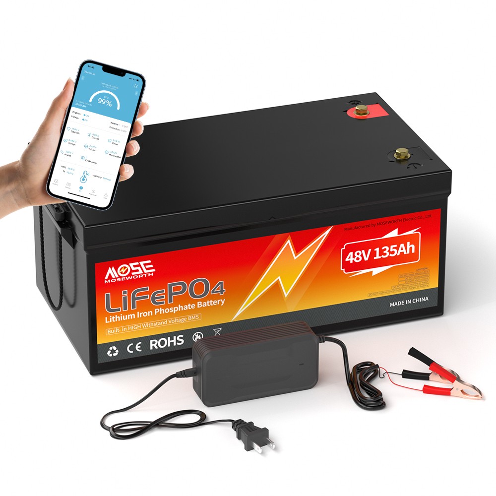 48V 135Ah Lithium Battery LiFePO4 200A BMS for Golf Cart RV Trolling Motors Boat