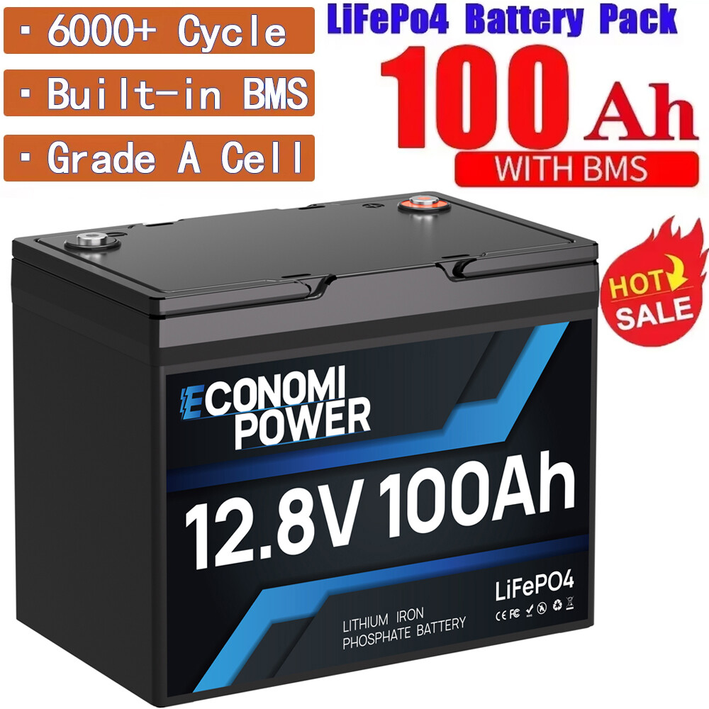 12V 100Ah LiFePO4 Lithium Battery BMS Deep Cycle for RV Off-grid Trolling Motor