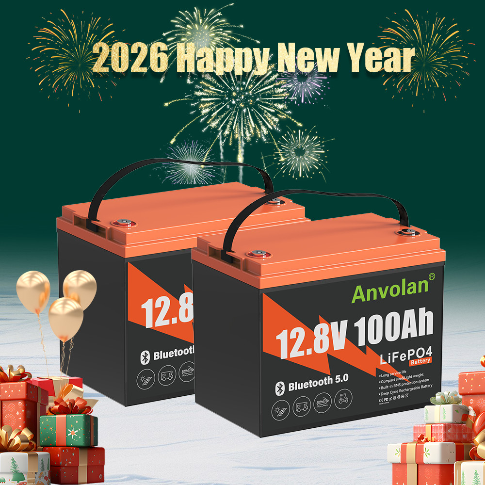 2X 12V 100Ah LiFePO4 Battery BMS 15000+Cycles Lithium Iron Phosphate Battery