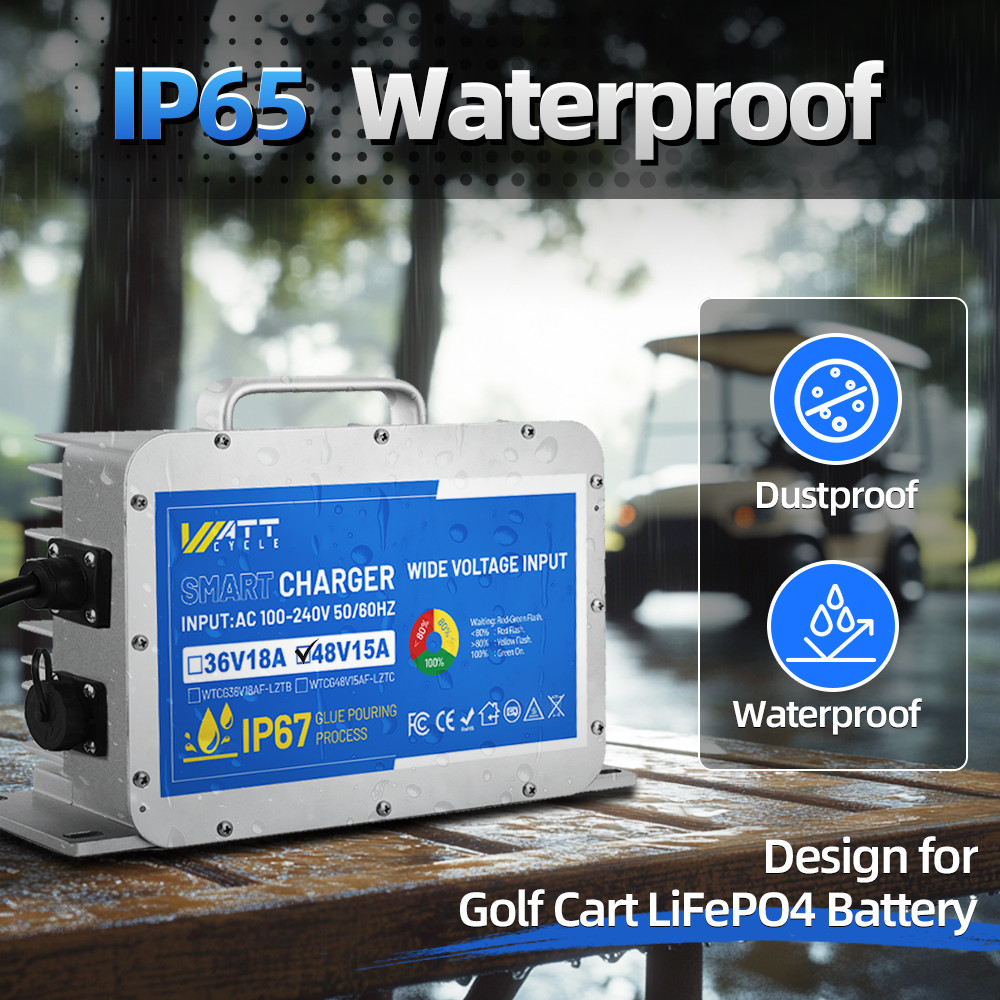 48V 50Ah 100A BMS 2560Wh LiFePO4 Lithium Golf Cart Battery + 58.4V 15A Charger