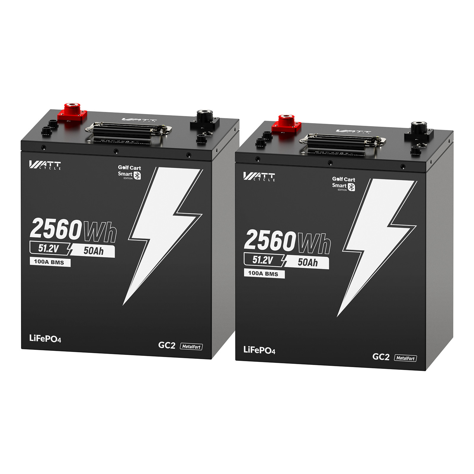 2Pack 48V 50Ah GC2 Size LiFePO4 Golf Cart Lithium Battery Bluetooth Metal Case