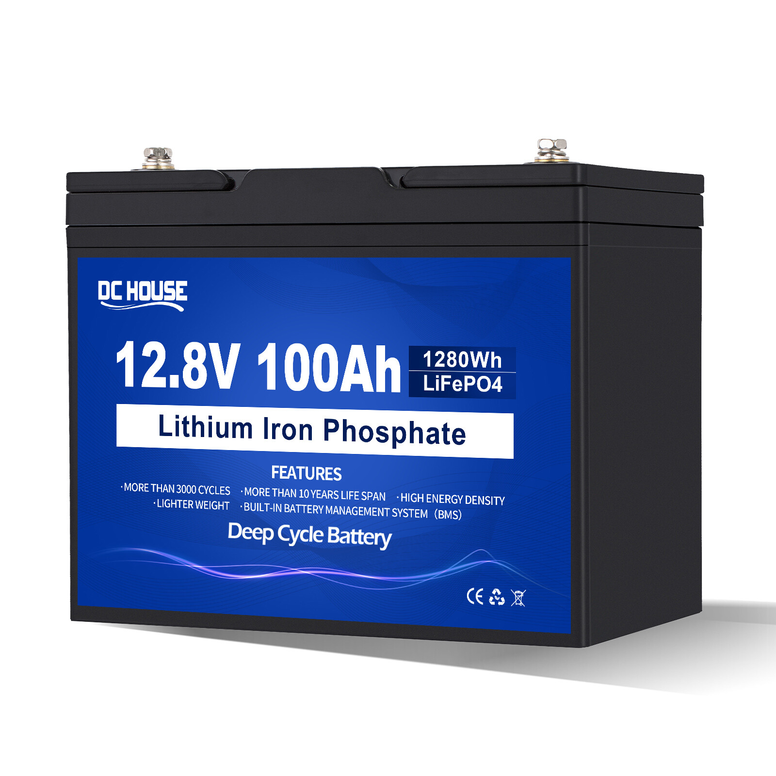 12V 100Ah LiFePO4 Lithium Battery 100A BMS for RV Off-grid Trolling Motor Solar