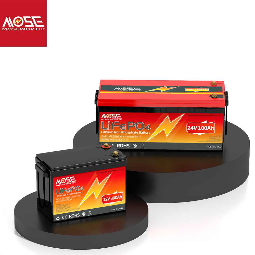 12V/24V 100Ah 300Ah LiFePO4 Lithium Battery Deep Cycle BMS for Solar RV Marine