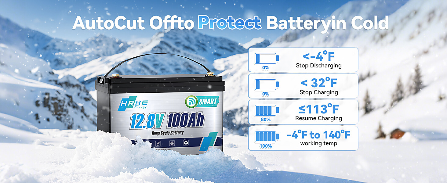 Mini LiFePO4 Lithium Battery 12V 100Ah with Charger 15000+ Deep Cycle 100A BMS