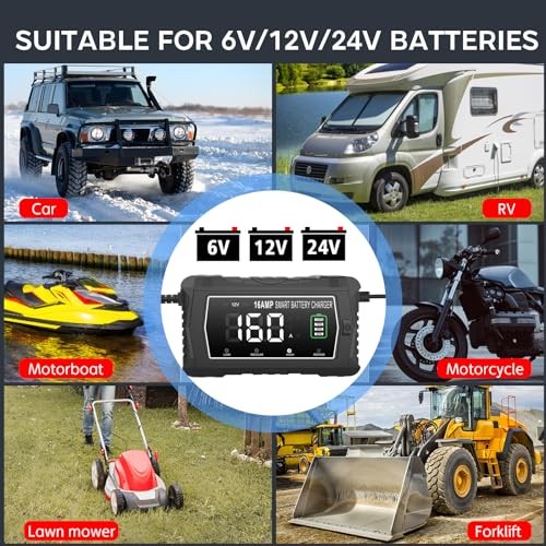 lifepo4 16-Amp Fully-Automatic Charger – 6V/12V/24V Lead