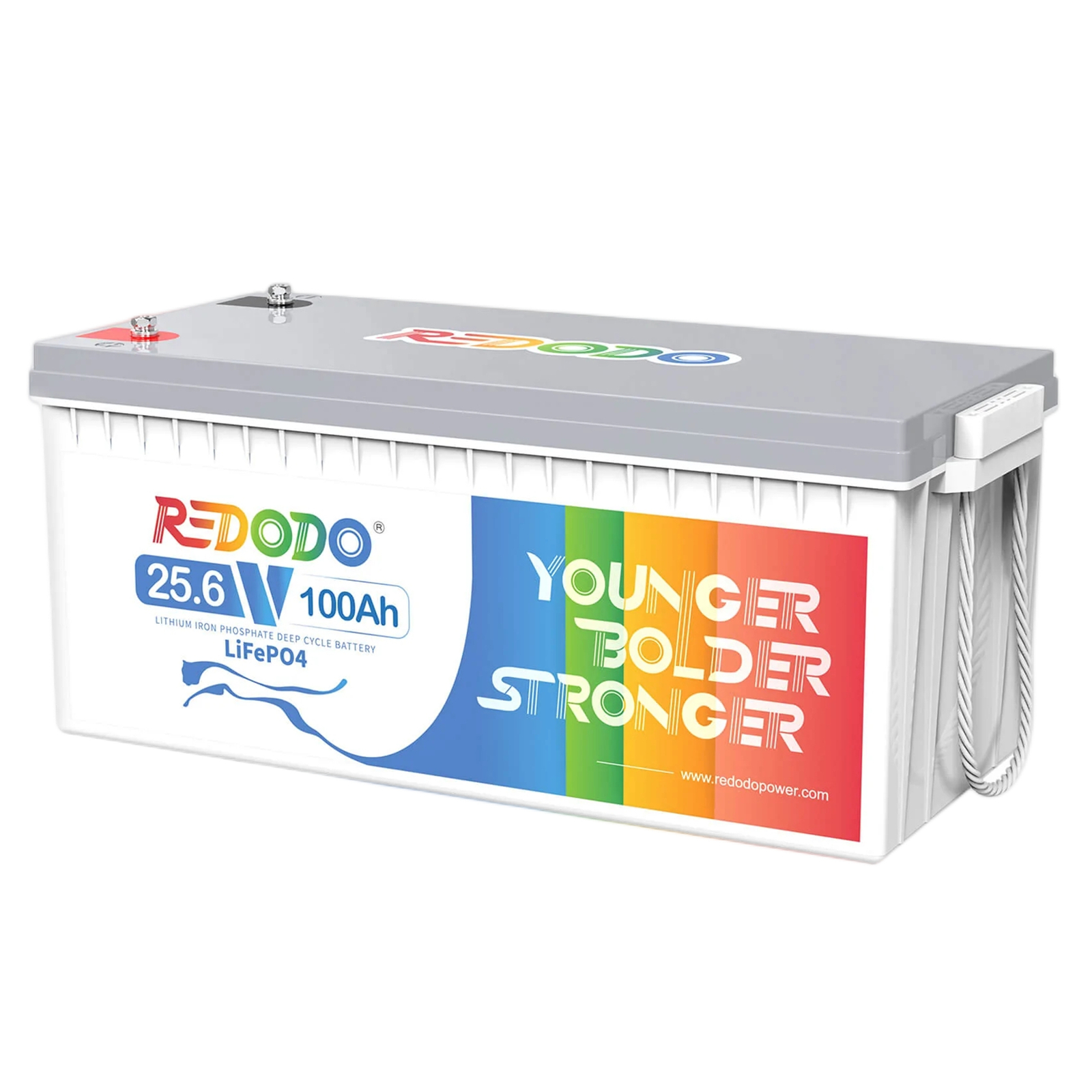 Redodo 24V 100Ah LiFePO4 Lithium Battery for Trolling Motor RV Off-grid Solar
