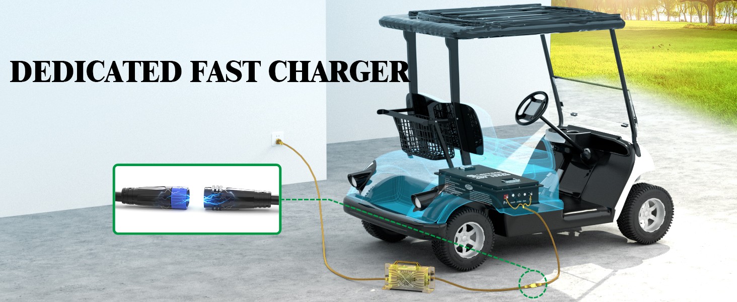 48V 135Ah Golf Cart LiFePO4 Lithium Battery kit 200A BMS with Charger Monitor