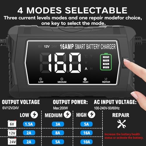 lifepo4 16-Amp Fully-Automatic Charger – 6V/12V/24V Lead