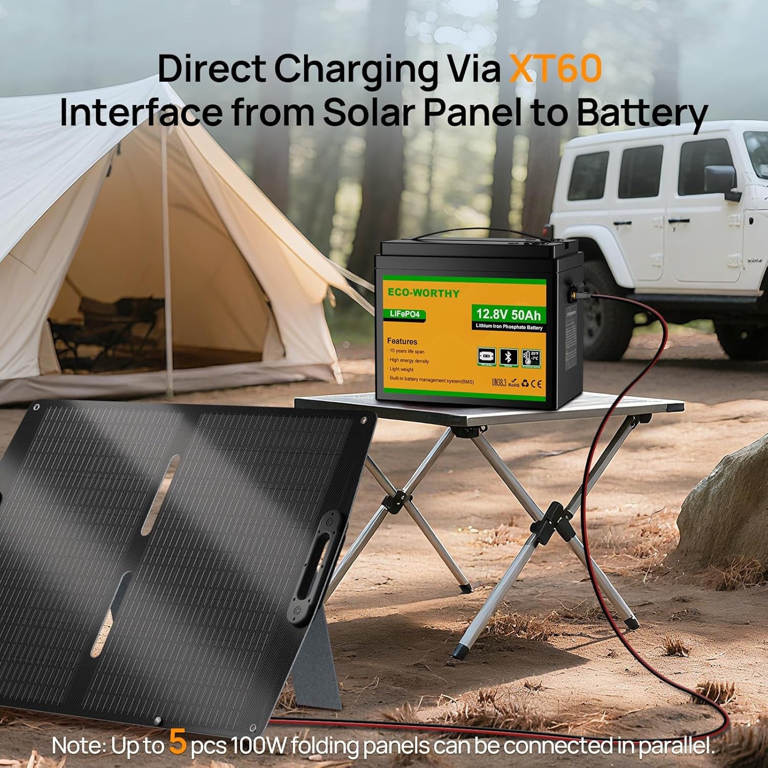 ECO-WORTHY 12V 50Ah LiFePO4 Lithium Battery with XT60 Interface