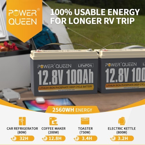 Power Queen 2 Packs 12V 100Ah Lithium LiFePO4 Battery for RV Boat Solar Off grid