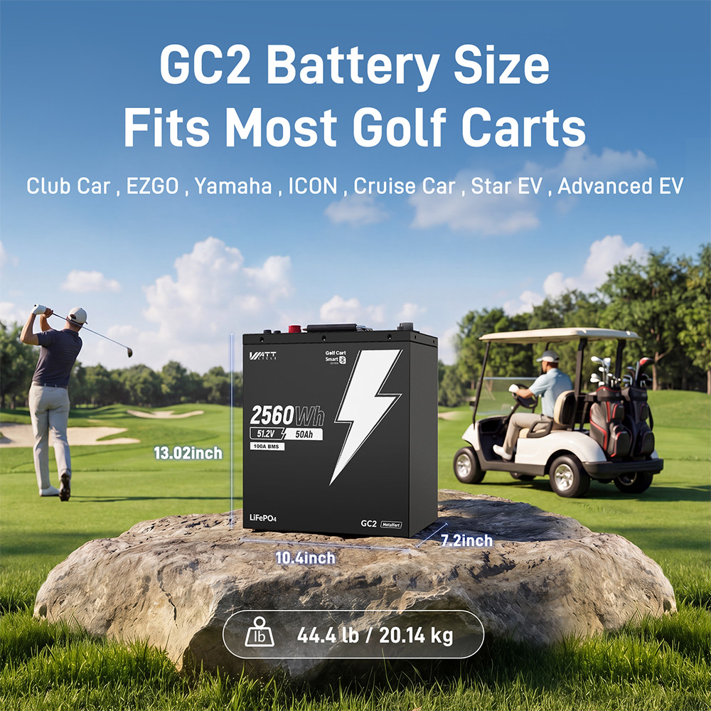 48V 50Ah 100A BMS 2560Wh LiFePO4 Lithium Golf Cart Battery + 58.4V 15A Charger