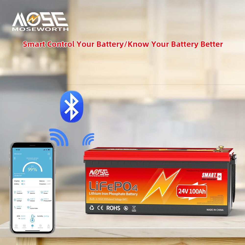 24V LiFePO4 Battery 100Ah Bluetooth Deep Cycles BMS for RV Solar Marine Off-Grid