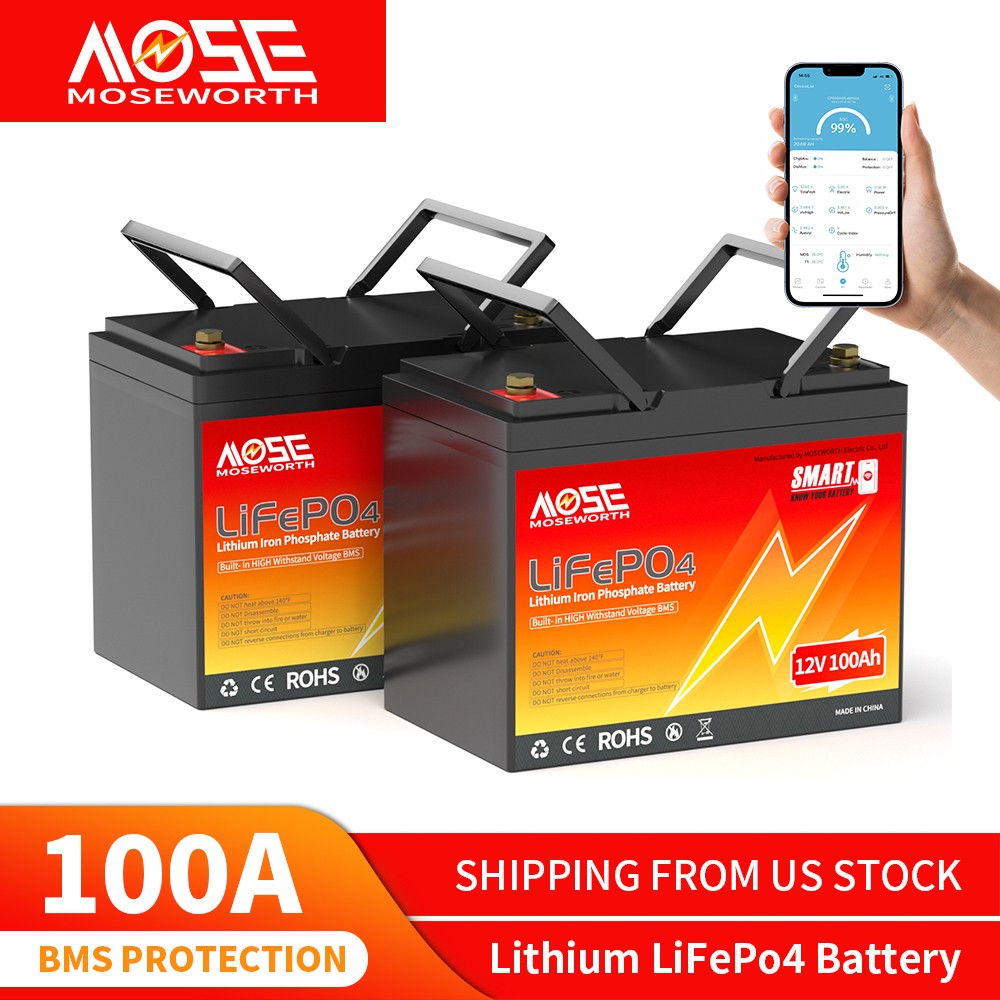 2 X 12V 100Ah Bluetooth LiFePO4 Lithium battery 100A BMS RV Solar Marine 2.56KW