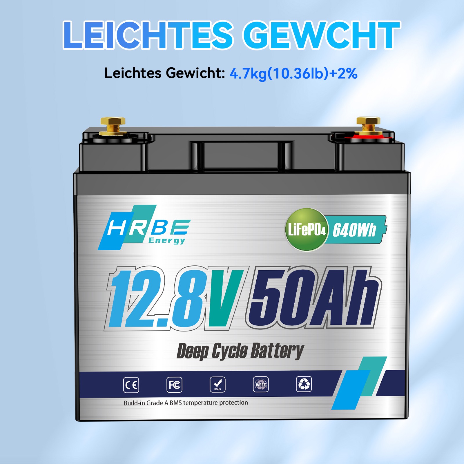 12V 50Ah Deep Cycle Lithium Battery LiFePO4 640Wh BMS for RV Solar Boat Off-grid