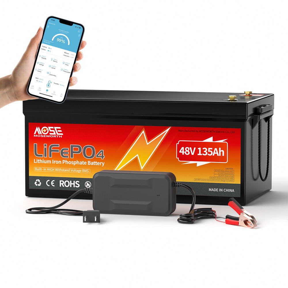 48V 135Ah Bluetooth LiFePO4 Lithium Battery 200A BMS Golf Cart Marine RV+Charger