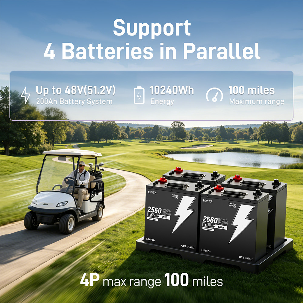 48V 50Ah 100A BMS 2560Wh LiFePO4 Lithium Golf Cart Battery + 58.4V 15A Charger