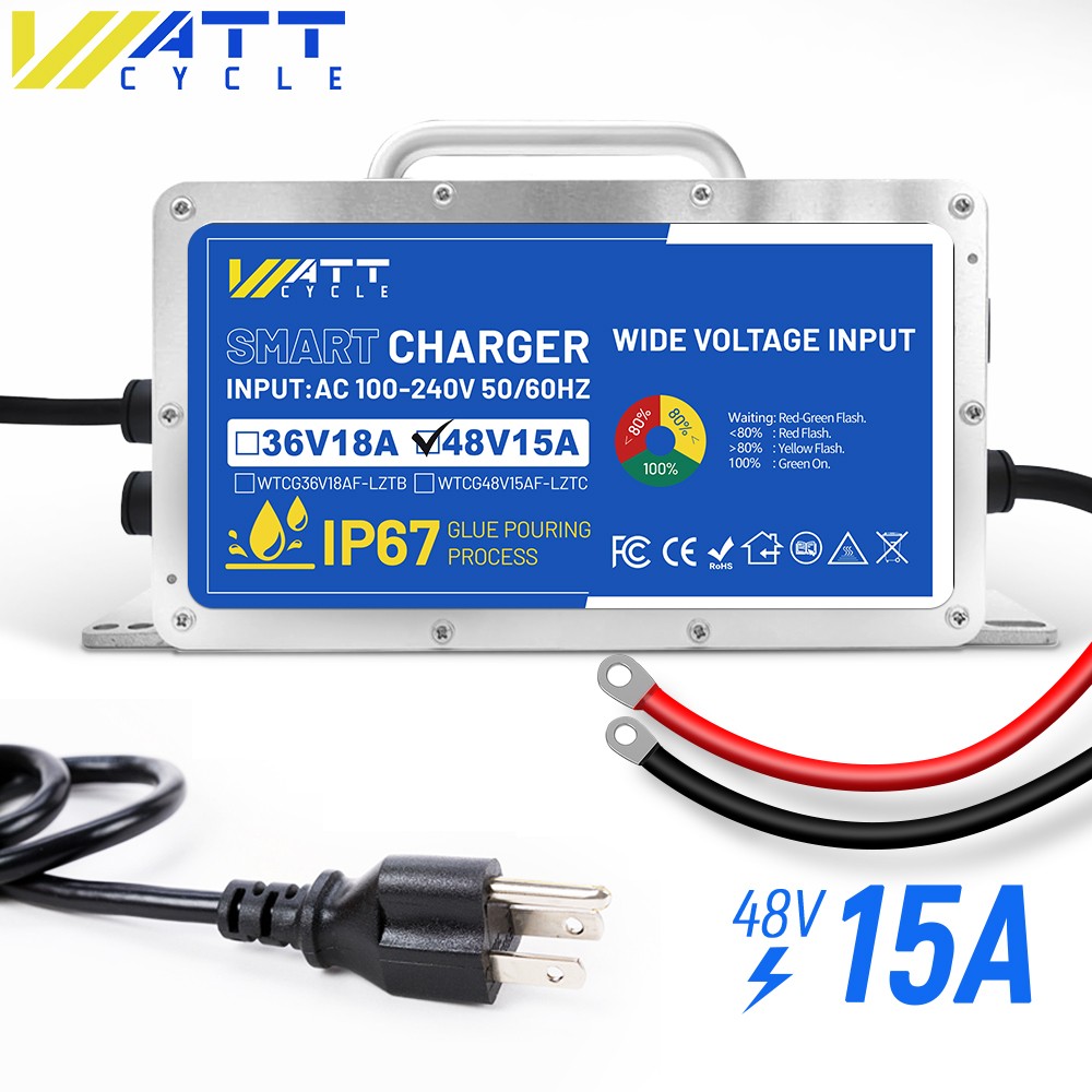 48V 50Ah 100A BMS 2560Wh LiFePO4 Lithium Golf Cart Battery + 58.4V 15A Charger