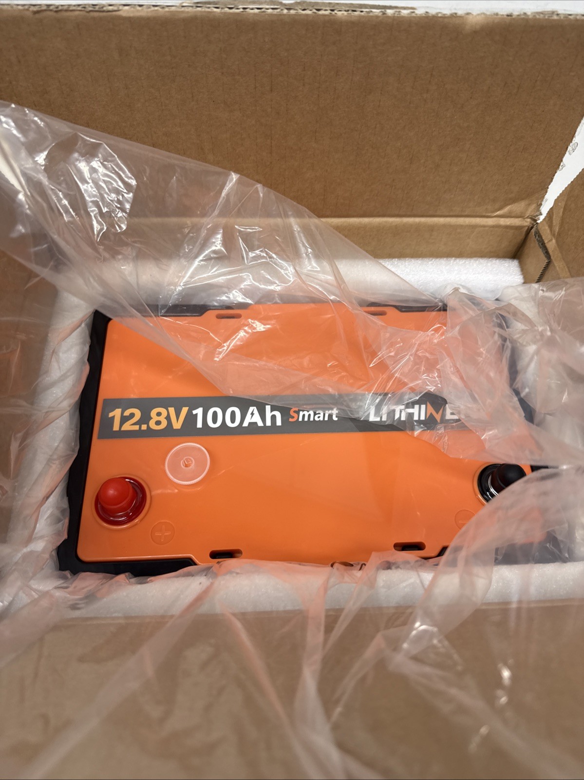 Litime 12V 100Ah Smart Group 24 LiFePO4 Lithium Battery with Bluetooth Function