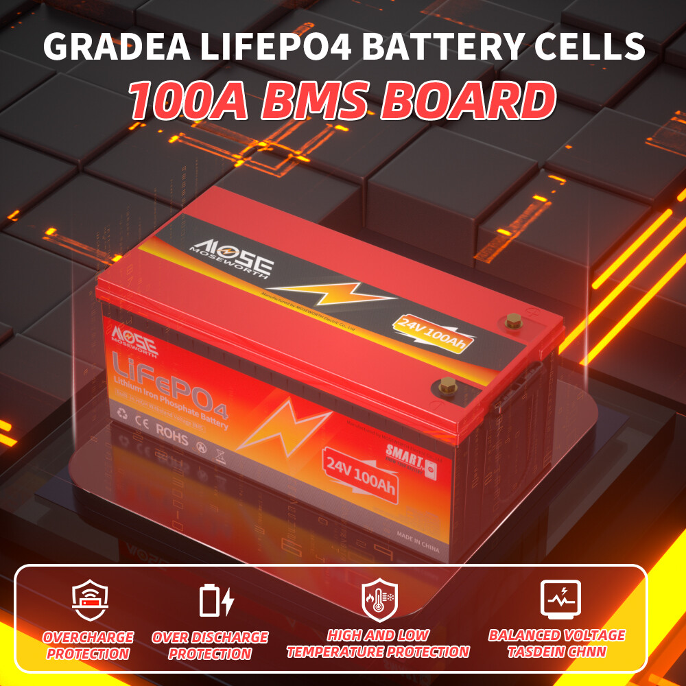 24V 100Ah LiFePO4 Deep Cycle Lithium Battery 2560Wh 100A BMS for Solar RV Boat