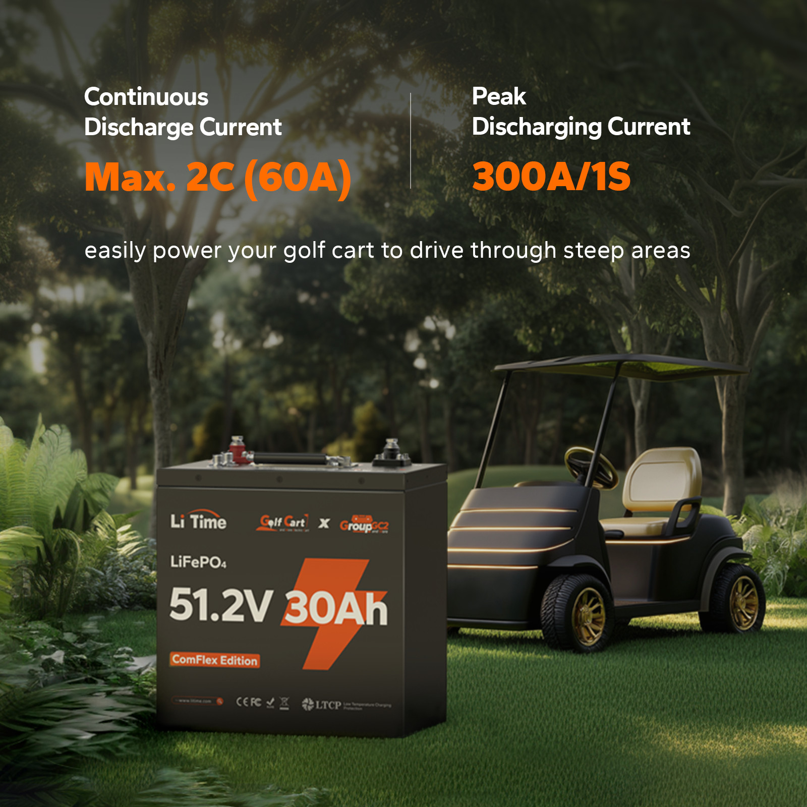 LiTime 48V 30Ah Lithium Golf Cart GC2 Battery with CAN/RS485 Communication LOT