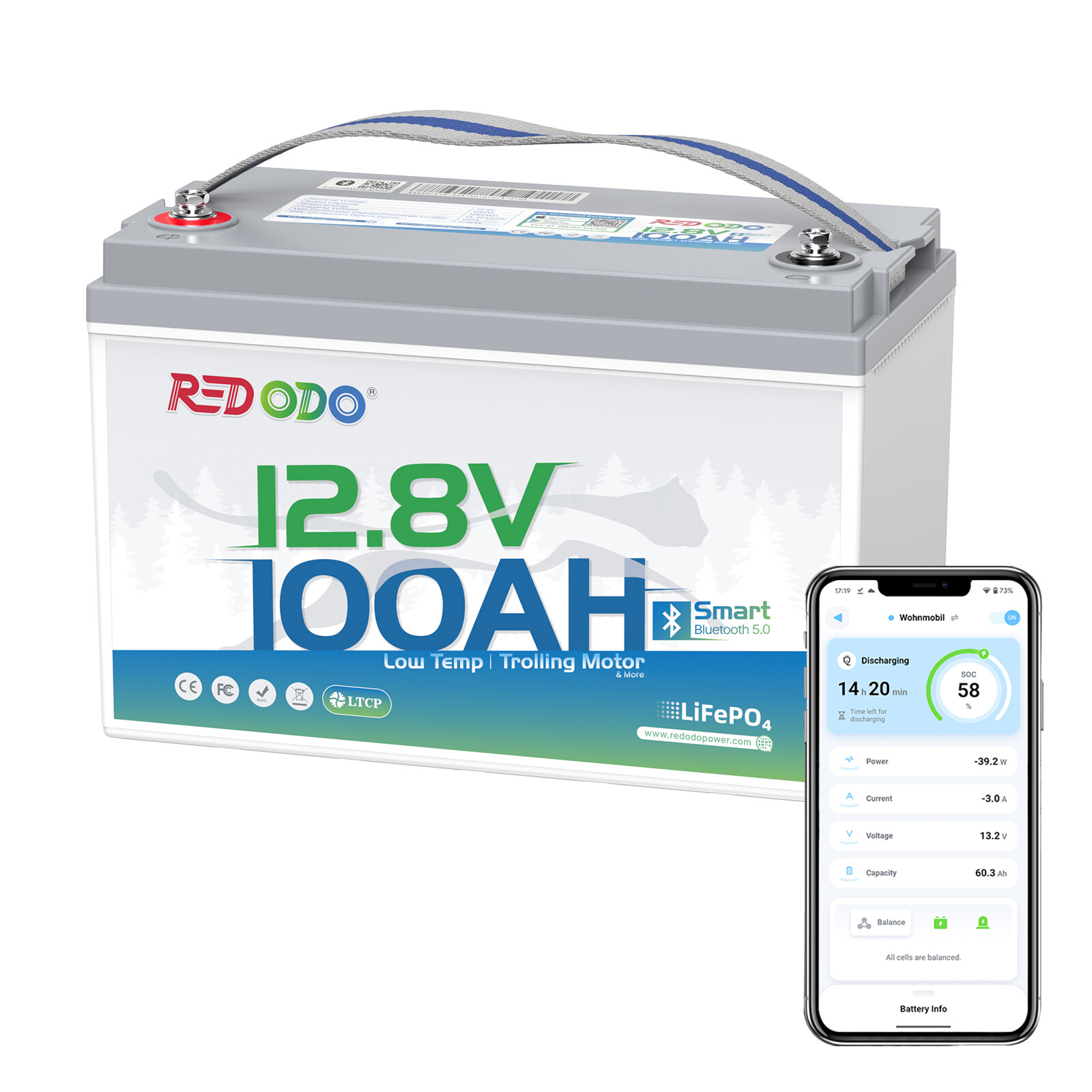 Redodo 12V 100Ah Bluetooth LiFePO4 Lithiium Battery with BMS, Low Temp Cut-off