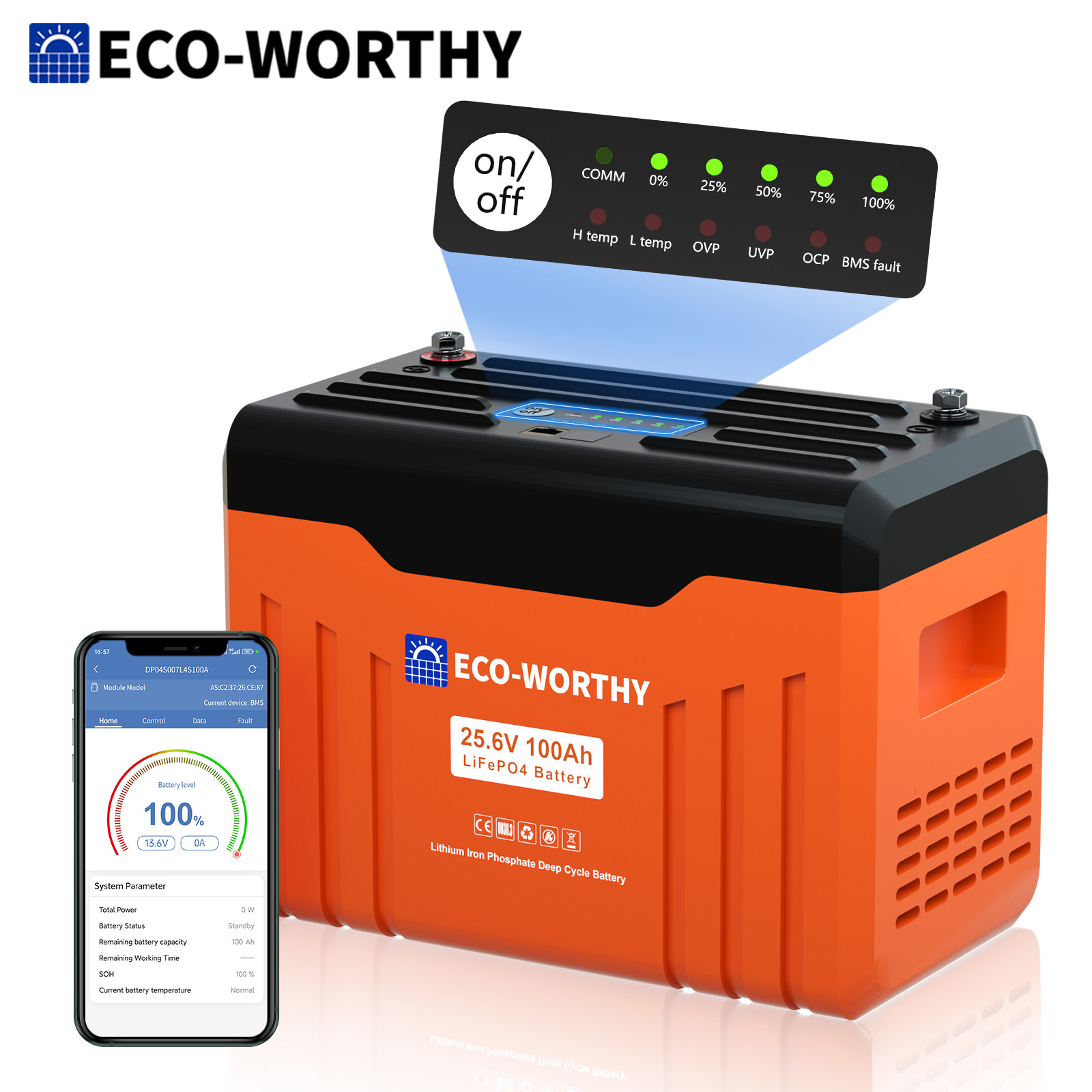 ECO-WORTHY 24V 100AH 2560Wh LiFePO4 Lithium Battery Newsletter For Home RV