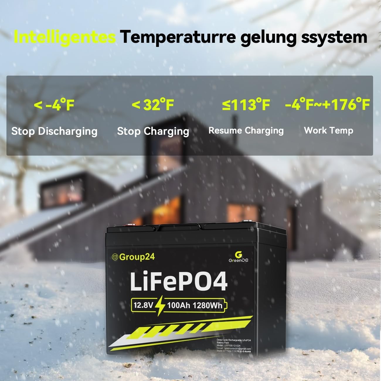 GreenOE 12V 100Ah LiFePO4 Battery Group 24 With Built-in 100A BMS For RV Home