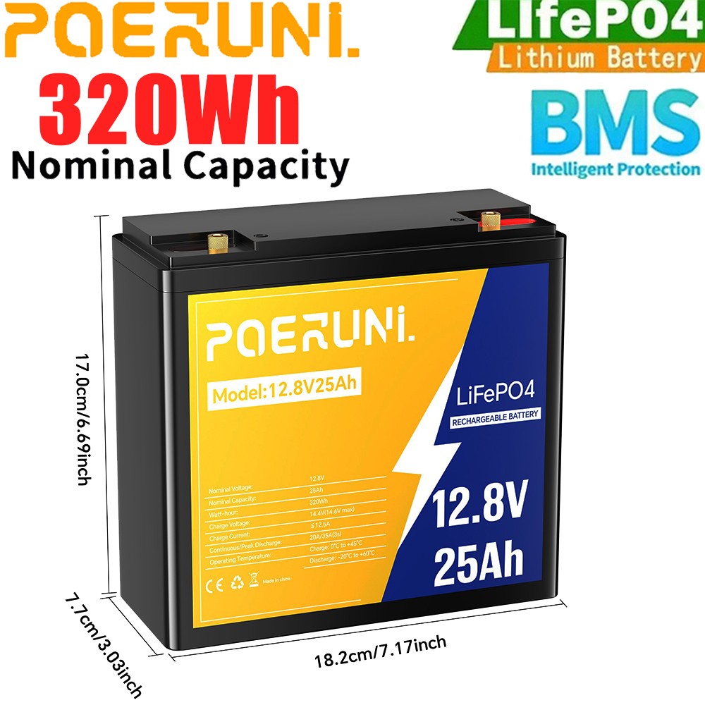 NEW 12V 25Ah LiFePO4 Lithium Battery 320Wh Built-in BMS Deep Cycle for Solar RV