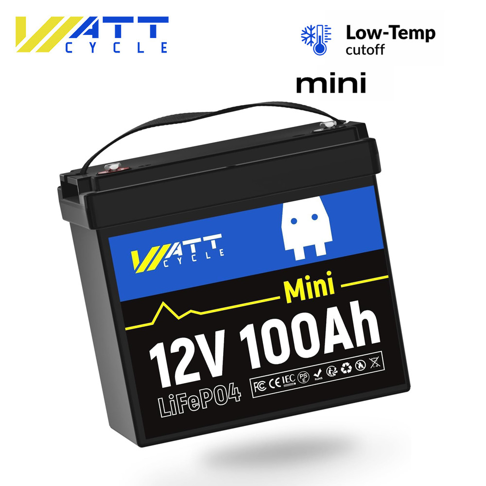 12V 100Ah LiFePO4 Lithium Battery Mini Group 22NF for RV Trolling Motor Schoolie