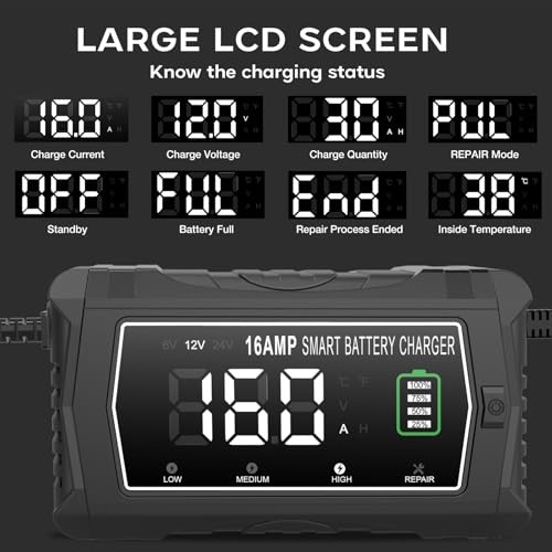 lifepo4 16-Amp Fully-Automatic Charger – 6V/12V/24V Lead