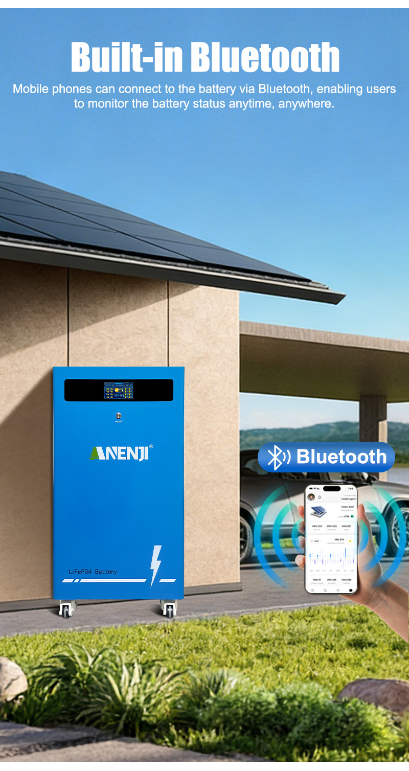 16KWh 314Ah 48V LiFePO4 Li-ion Battery 51.2V BMS for Solar Energy Storage System