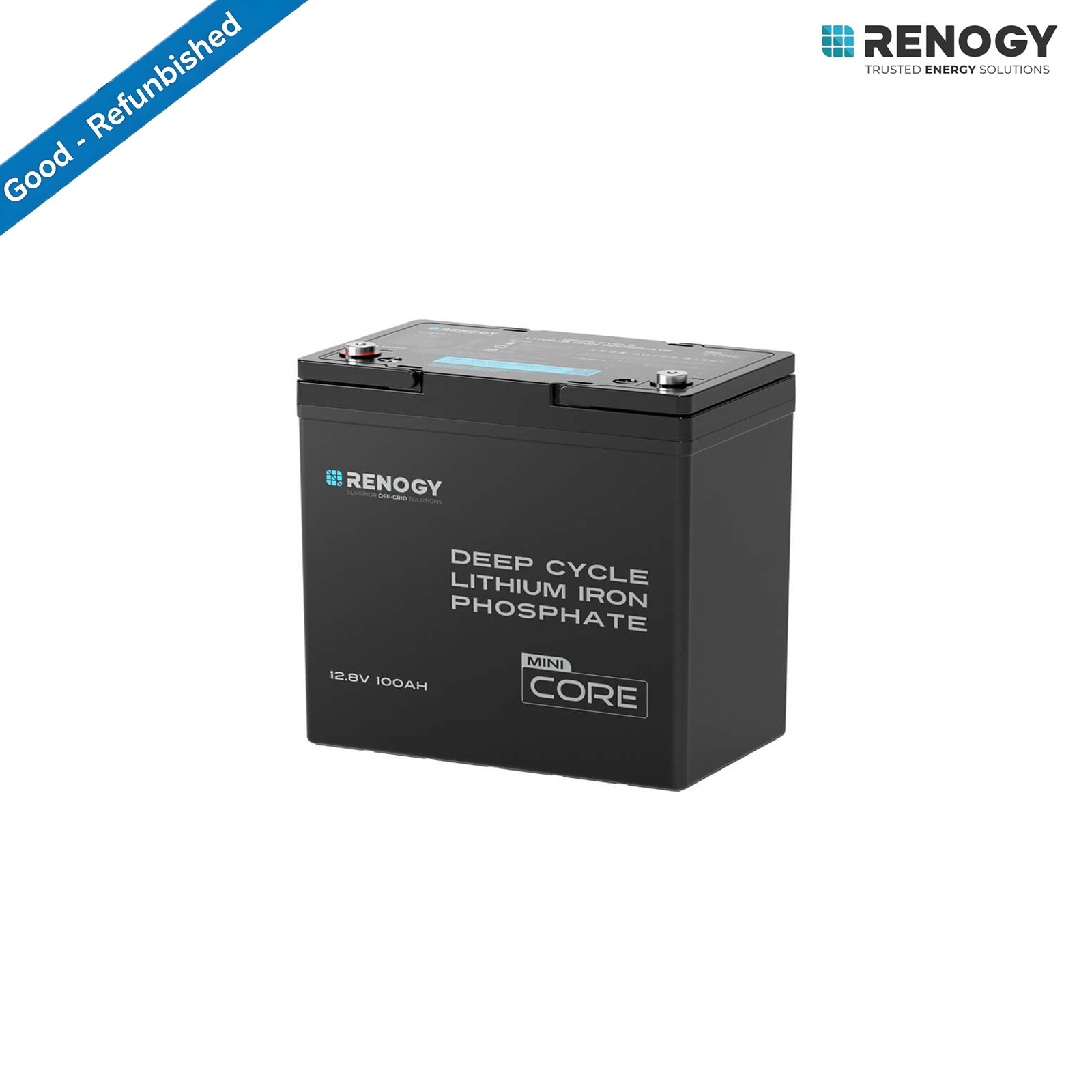 Renogy 12V 100Ah LiFePO4 Lithium Battery Deep Cycle For RV Good Refurbished