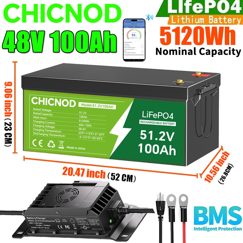 48V 100Ah LiFePO4 Lithium Battery BMS W/ 58.4V 20A Charger For Solar RV Off-grid