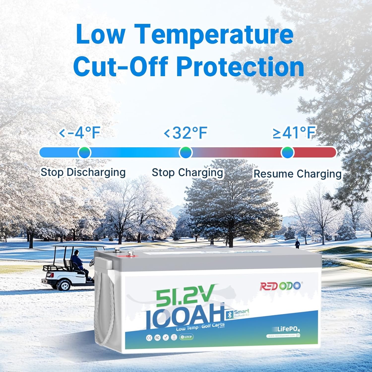 Redodo 48V 100Ah Golf Cart LiFePO4 Battery Bluetooth Low Temp with 200A BMS GOOD
