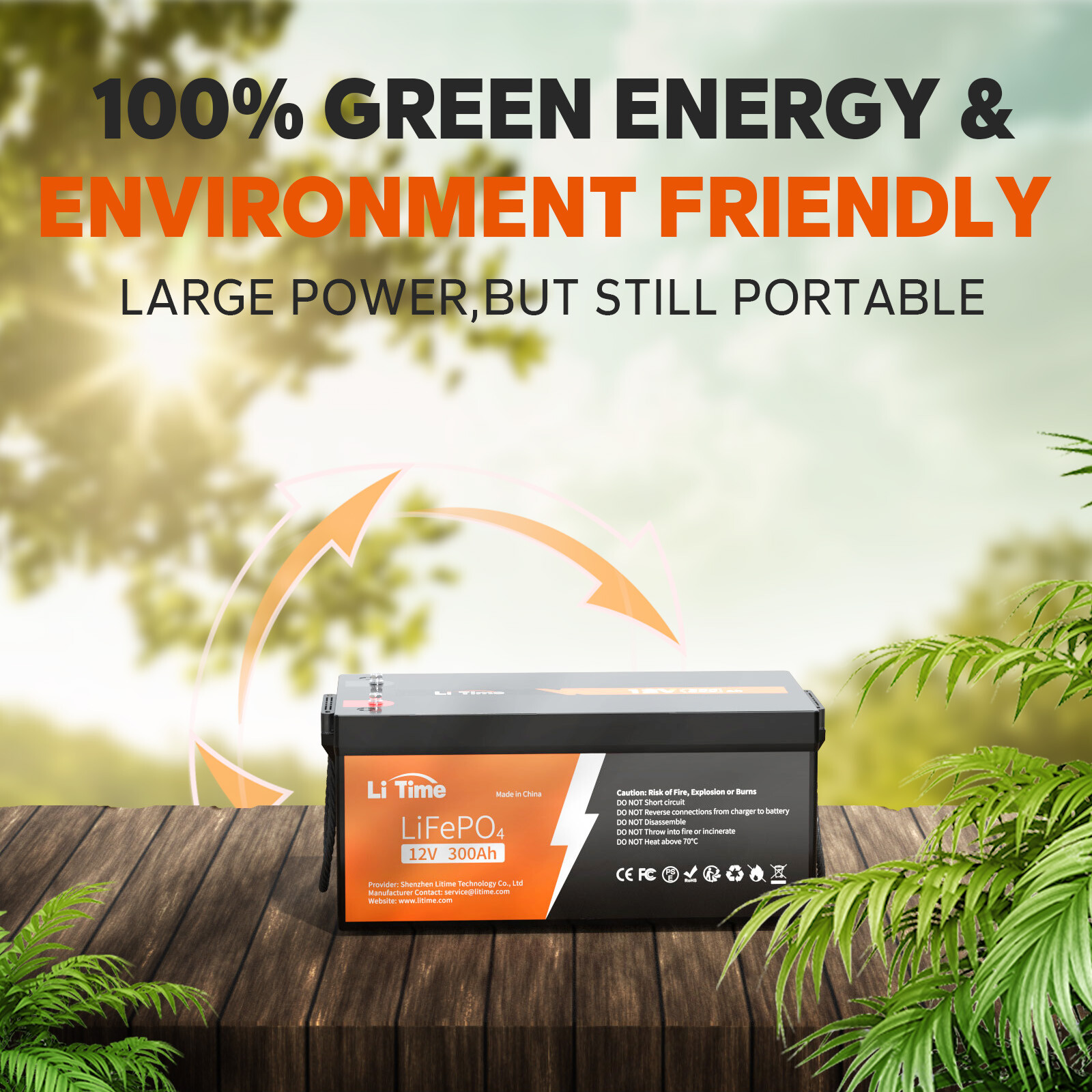 Litime 12V 300Ah LiFePO4 Lithium Battery 3840Wh 200A BMS For Solar Off-grid IP65