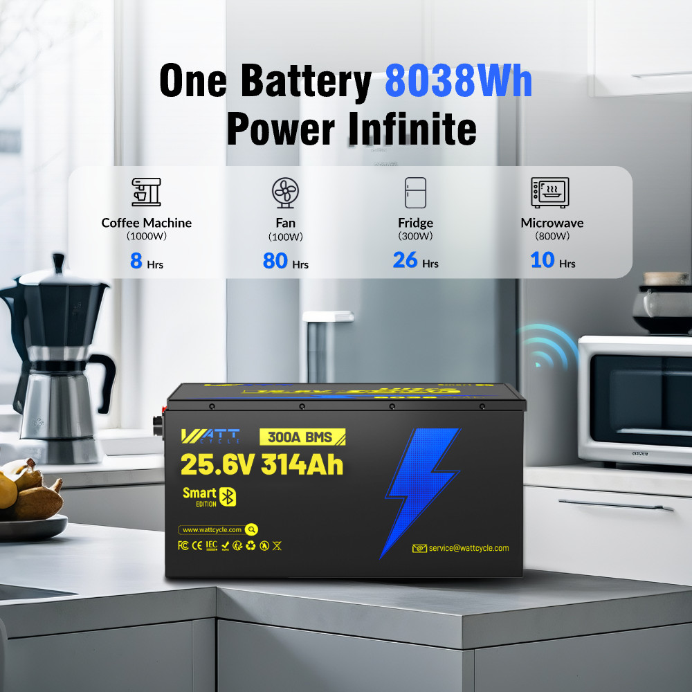 WattCycle 24V 314Ah LiFePO4 Battery 300A BMS + 24V Charger for RV Solar Off-Grid